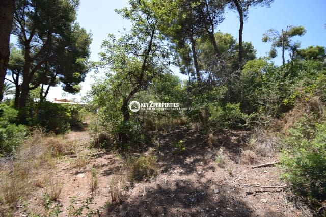 Tomt till salu i Centro ciudad, Javea / Xàbia - 240 000 € (Ref: 9360201)