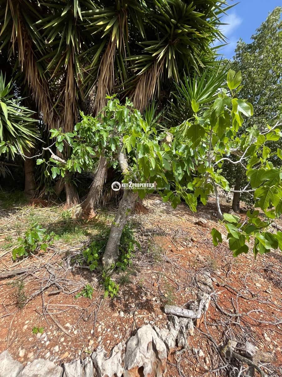 Ruína para venda em Gata de Gorgos - 140 000 € (Ref: 9362274)