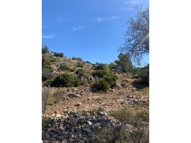 Undeveloped Land for sale in Jalón / Xaló - € 800,000 (Ref: 5678720)