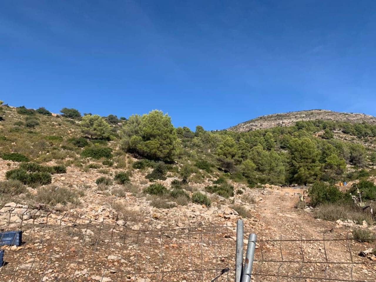 Undeveloped Land for sale in Jalon / Xalo - € 800,000 (Ref: 5678720)