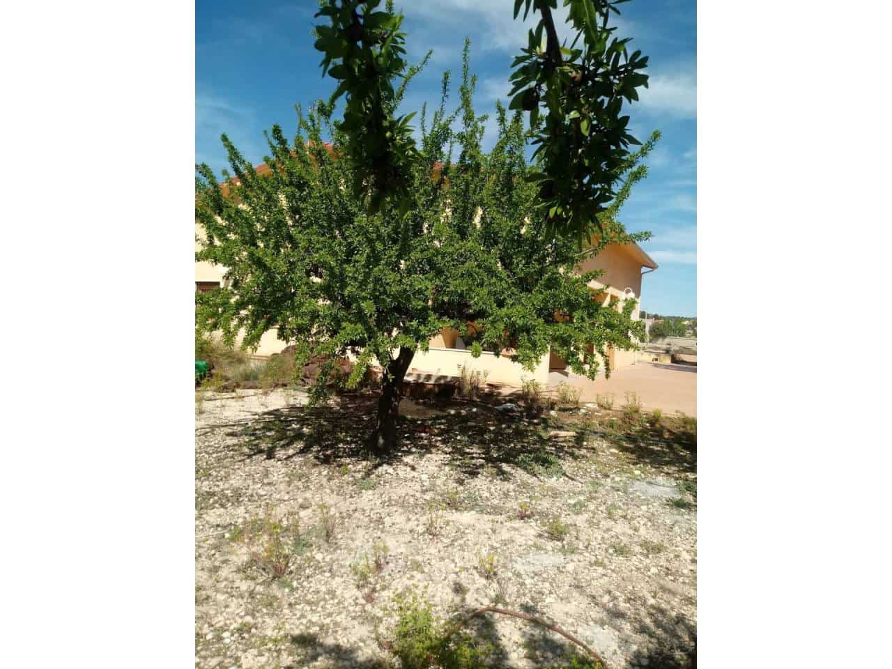 3 soveværelse Finca/Landehus til salg i Monovar / Monover - € 215.000 (Ref: 5923038)