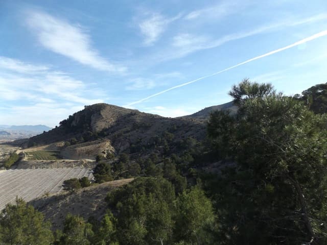 Undeveloped Land for sale in Monforte del Cid - € 2,500,000 (Ref: 6379078)