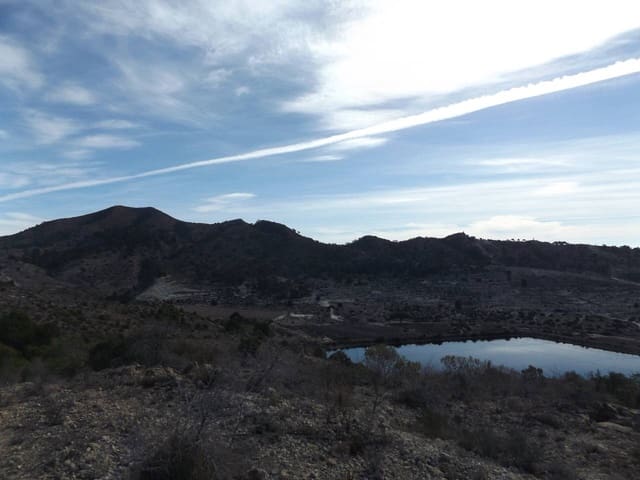 Undeveloped Land for sale in Monforte del Cid - € 2,500,000 (Ref: 6379078)