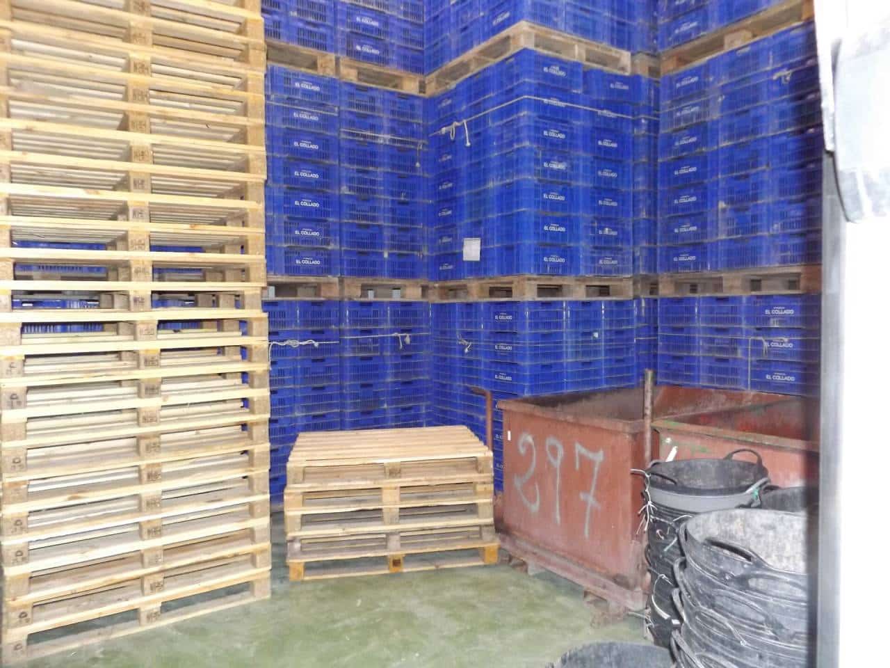 Terreno Non Edificato in vendita in Monforte del Cid - 2.500.000 € (Rif: 6379078)