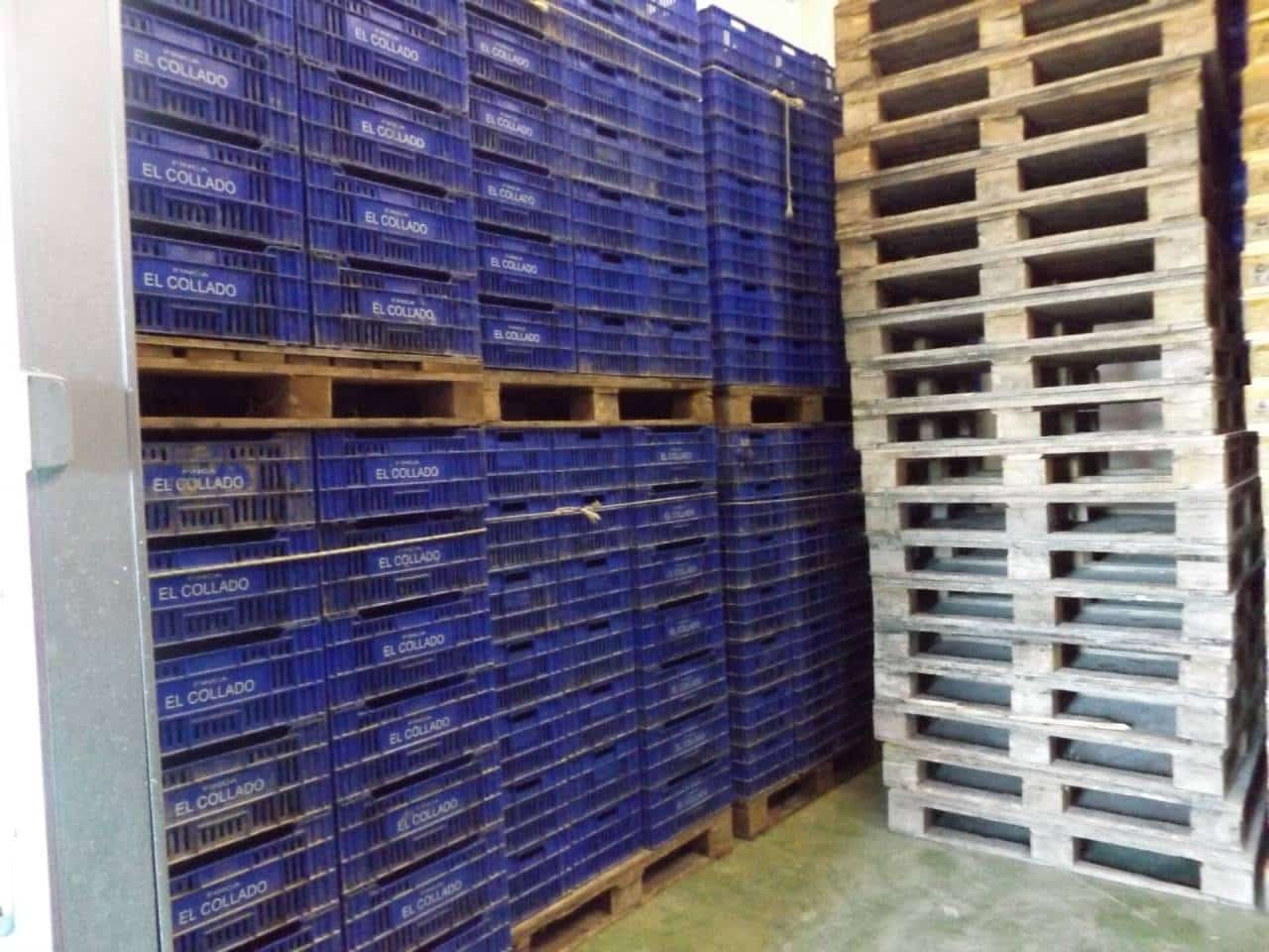 Terreno Non Edificato in vendita in Monforte del Cid - 2.500.000 € (Rif: 6379078)