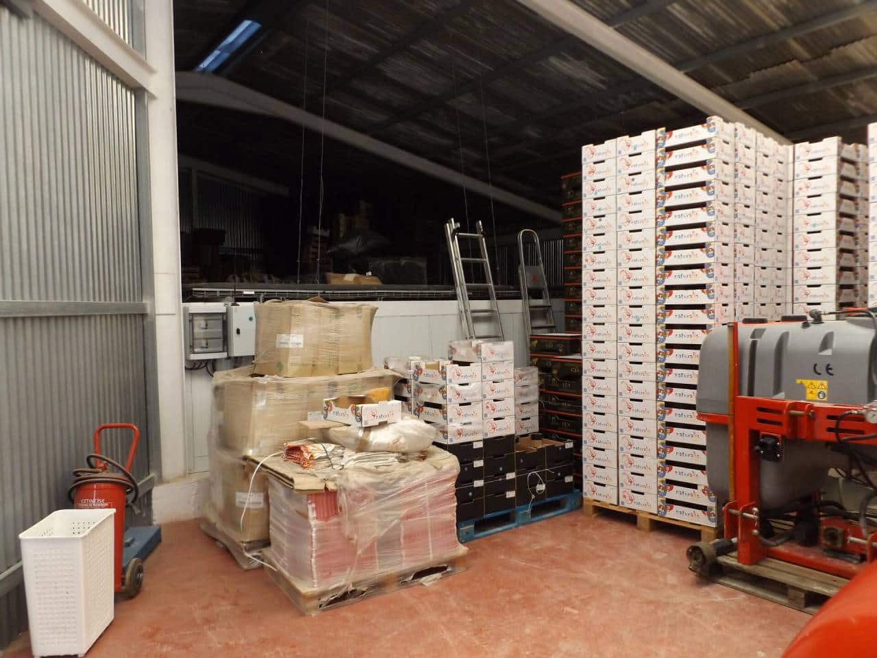 Terreno Non Edificato in vendita in Monforte del Cid - 2.500.000 € (Rif: 6379078)