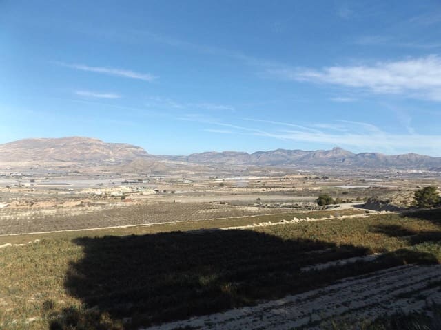 Undeveloped Land for sale in Monforte del Cid - € 2,500,000 (Ref: 6379078)