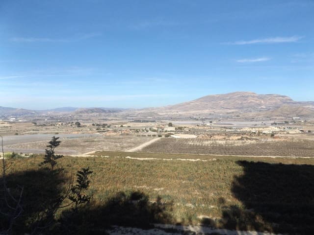 Undeveloped Land for sale in Monforte del Cid - € 2,500,000 (Ref: 6379078)