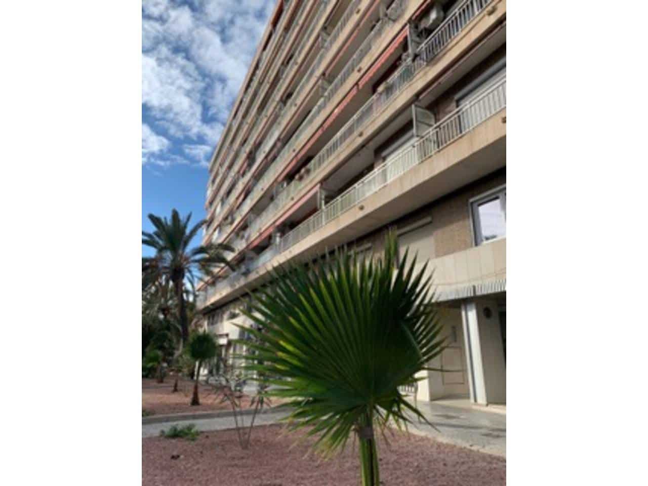 Commercial for sale in Alicante / Alacant city - € 258,000 (Ref: 6576902)