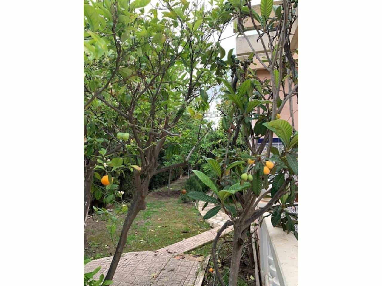 7 soveværelse Villa til salg i Cabo de las Huertas med swimmingpool garage - € 1.500.000 (Ref: 6894738)