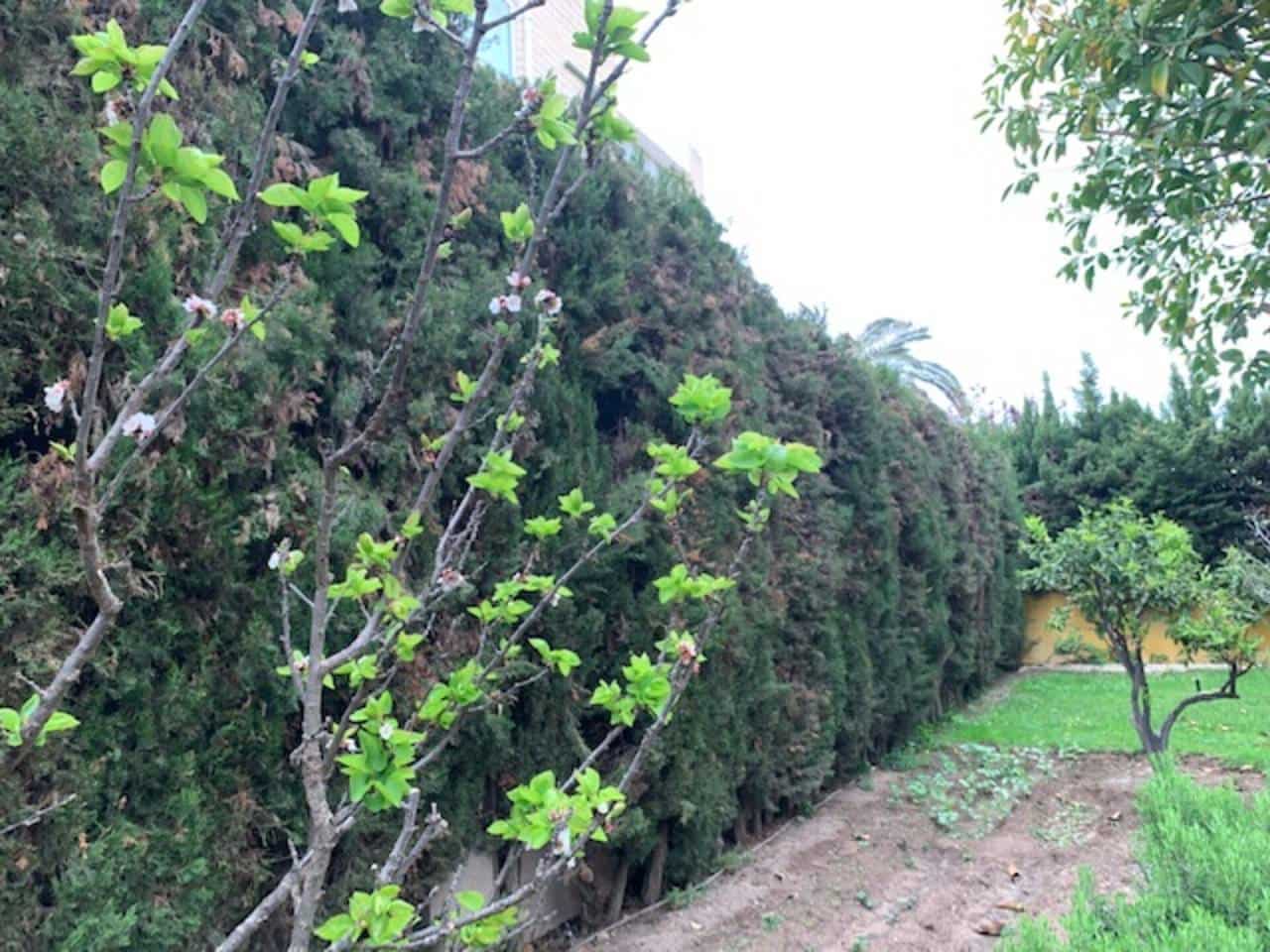 7 soveværelse Villa til salg i Cabo de las Huertas med swimmingpool garage - € 1.500.000 (Ref: 6894738)