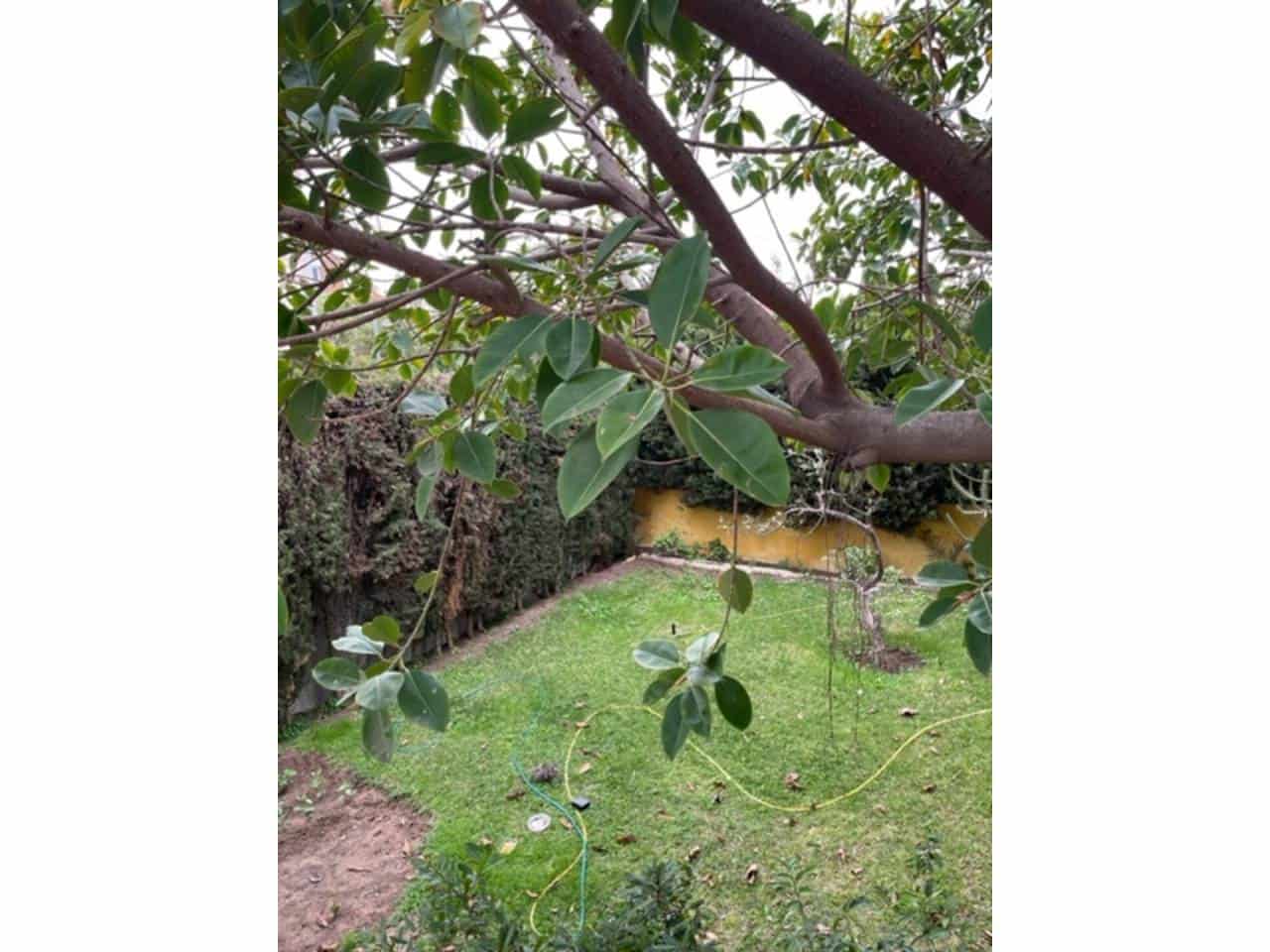 7 soveværelse Villa til salg i Cabo de las Huertas med swimmingpool garage - € 1.500.000 (Ref: 6894738)