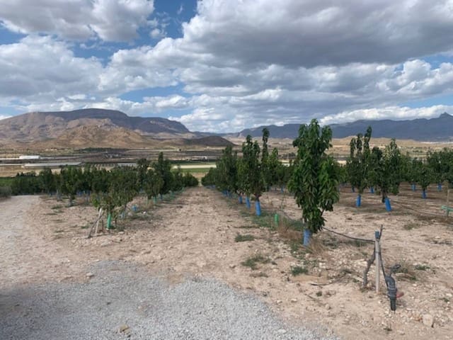 Area Edificabile in vendita in Monforte del Cid - 55.000 € (Rif: 7088623)