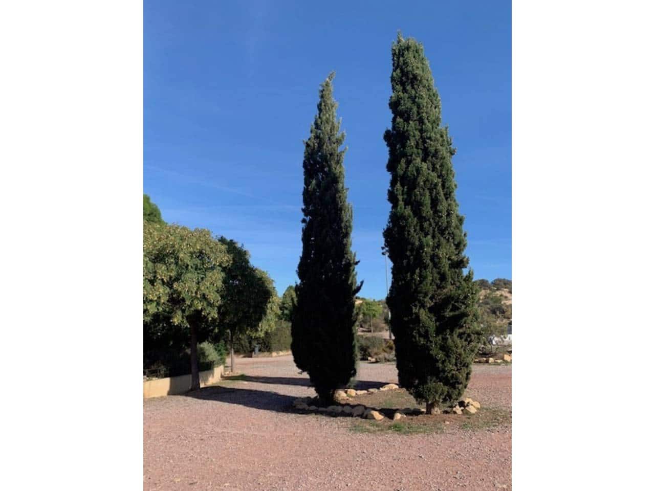 4 soverom Hus til salgs i Cabo de las Huertas med svømmebasseng garasje - € 1 050 000 (Ref: 7262716)