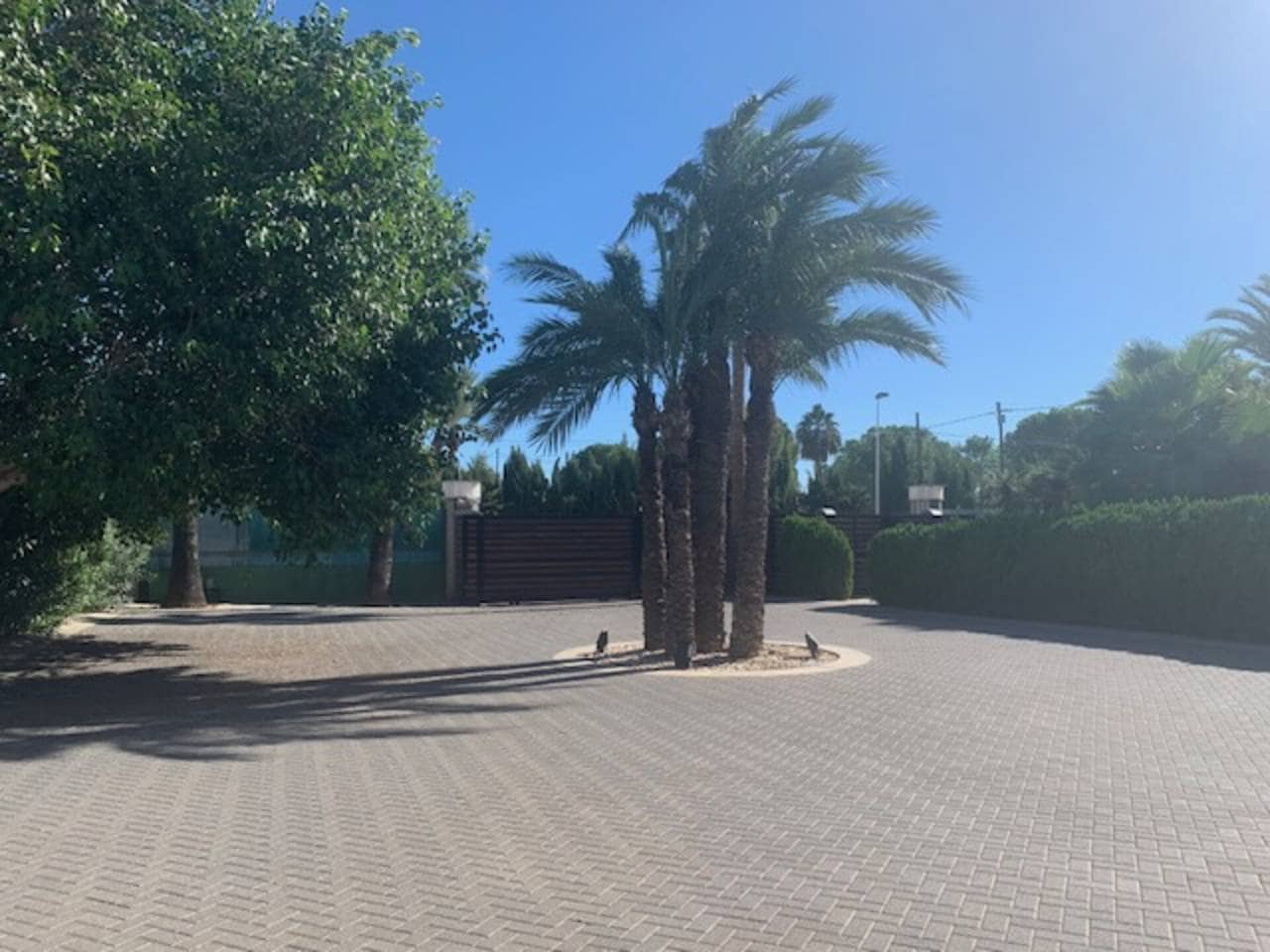 6 soverom Villa til salgs i Elche / Elx med svømmebasseng garasje - € 1 850 000 (Ref: 7857580)