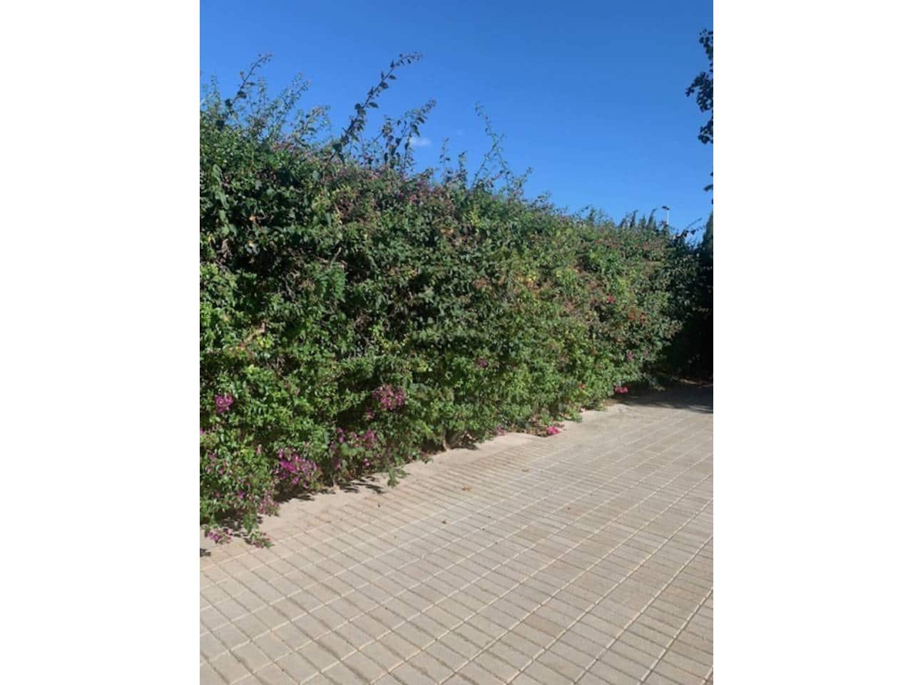 6 soverom Villa til salgs i Elche / Elx med svømmebasseng garasje - € 1 850 000 (Ref: 7857580)