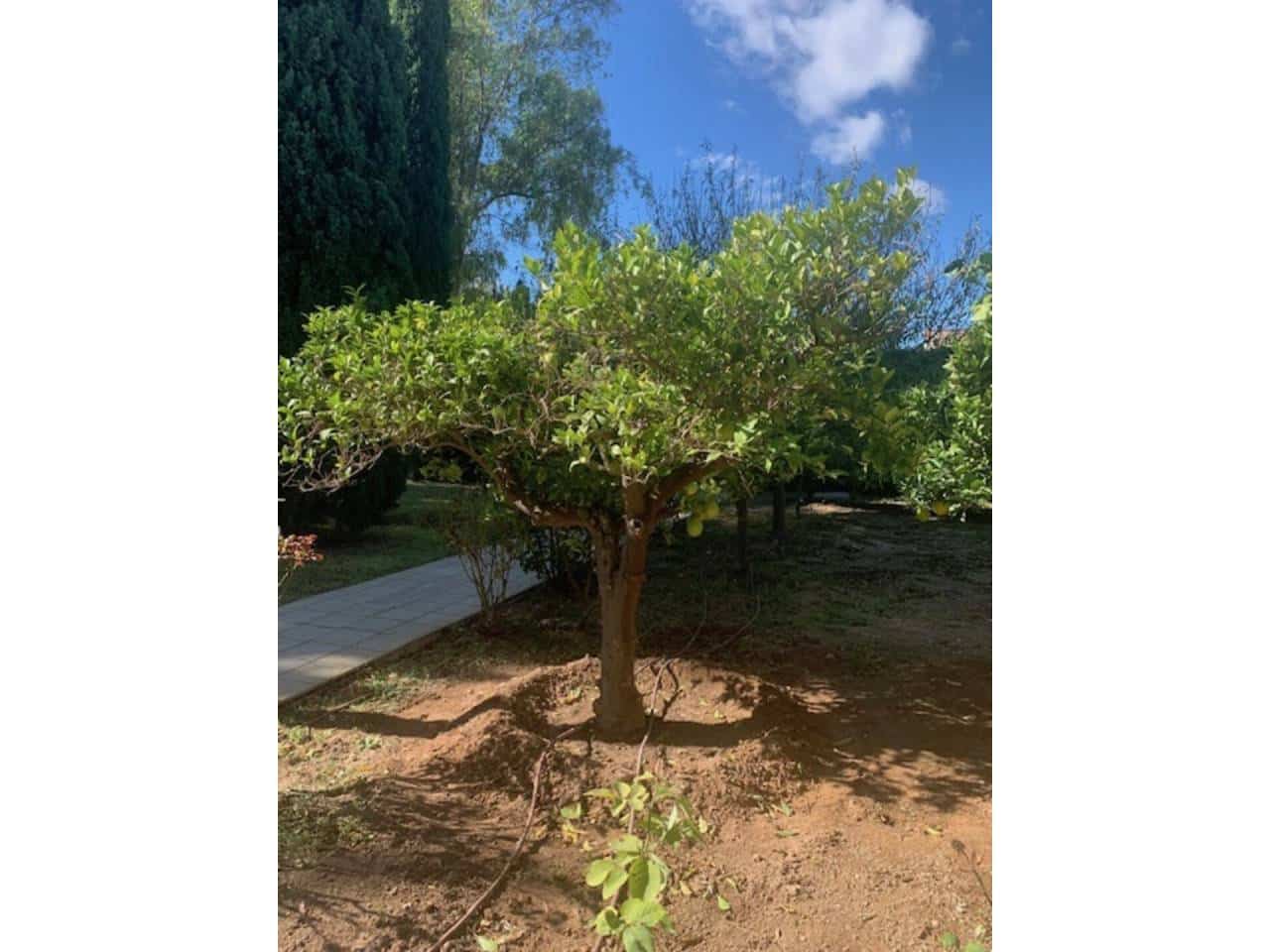 6 soverom Villa til salgs i Elche / Elx med svømmebasseng garasje - € 1 850 000 (Ref: 7857580)