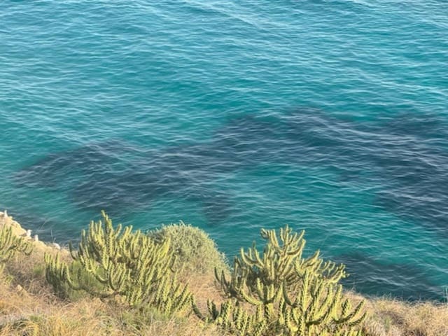 Tomt till salu i El Campello - 565 000 € (Ref: 8671520)