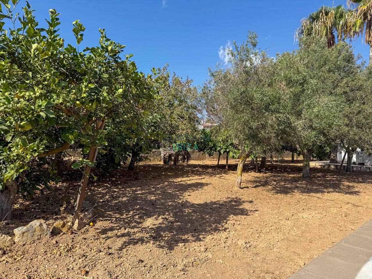 3 soverom Villa til salgs i Sant Jordi de Ses Salines med svømmebasseng garasje - € 2 200 000 (Ref: 10055786)