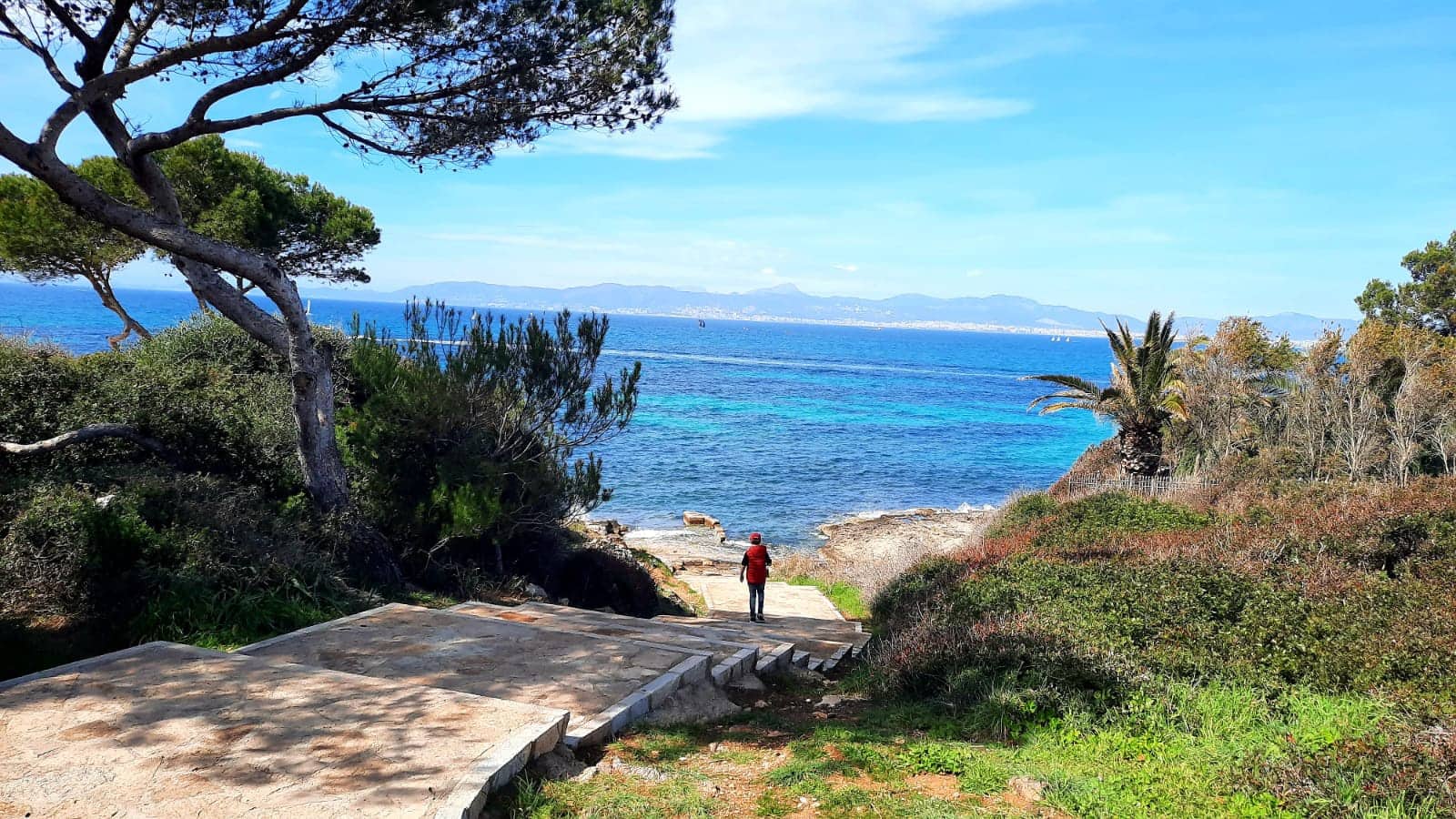 3 sypialnia Apartament do wynajęcia w Son Veri Nou z basenem - 3 800 € (Ref: 9205358)