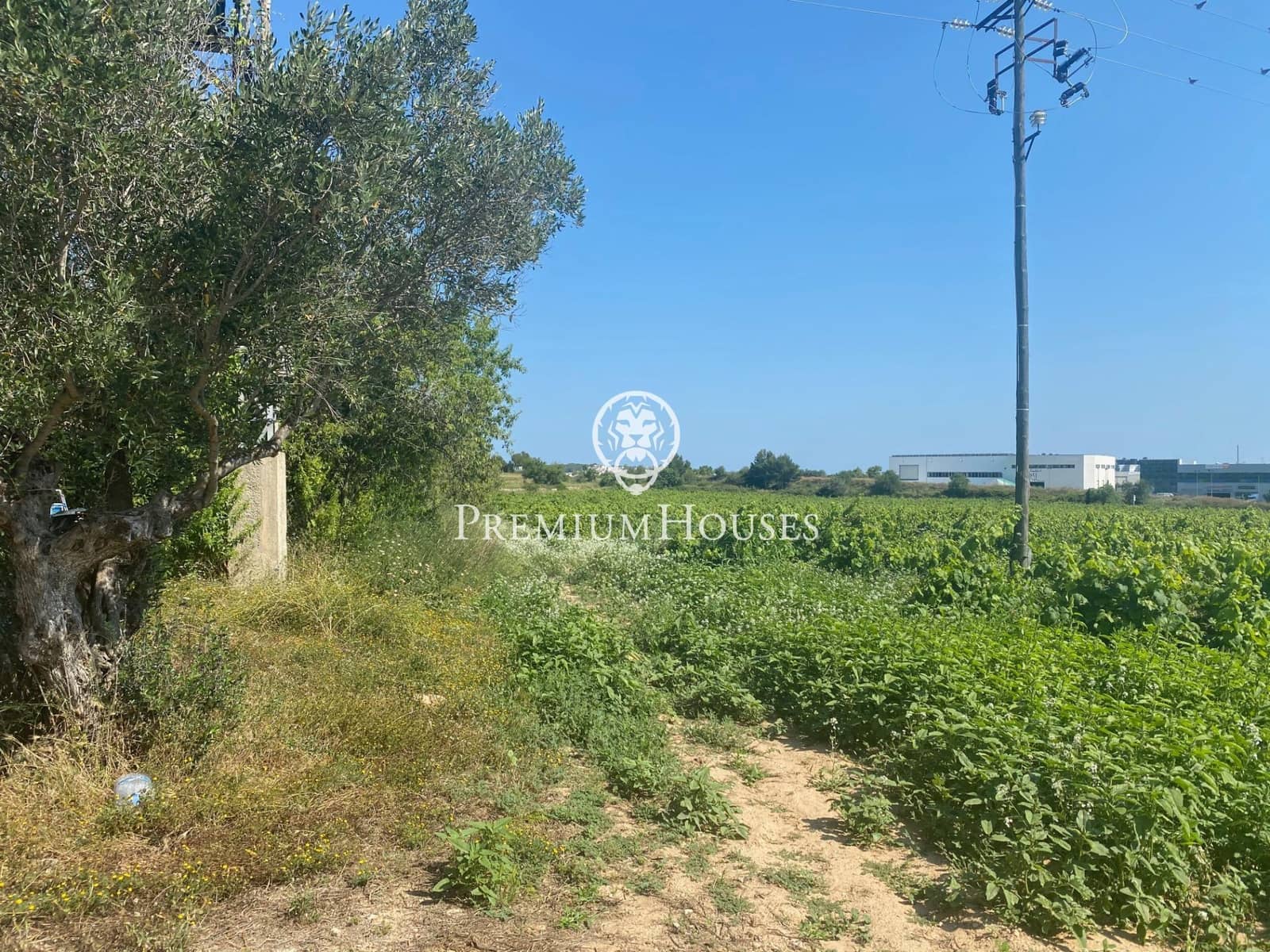 Finca/Landhuis te koop in Vilanova i la Geltru - € 1.800.000 (Ref: 7164978)