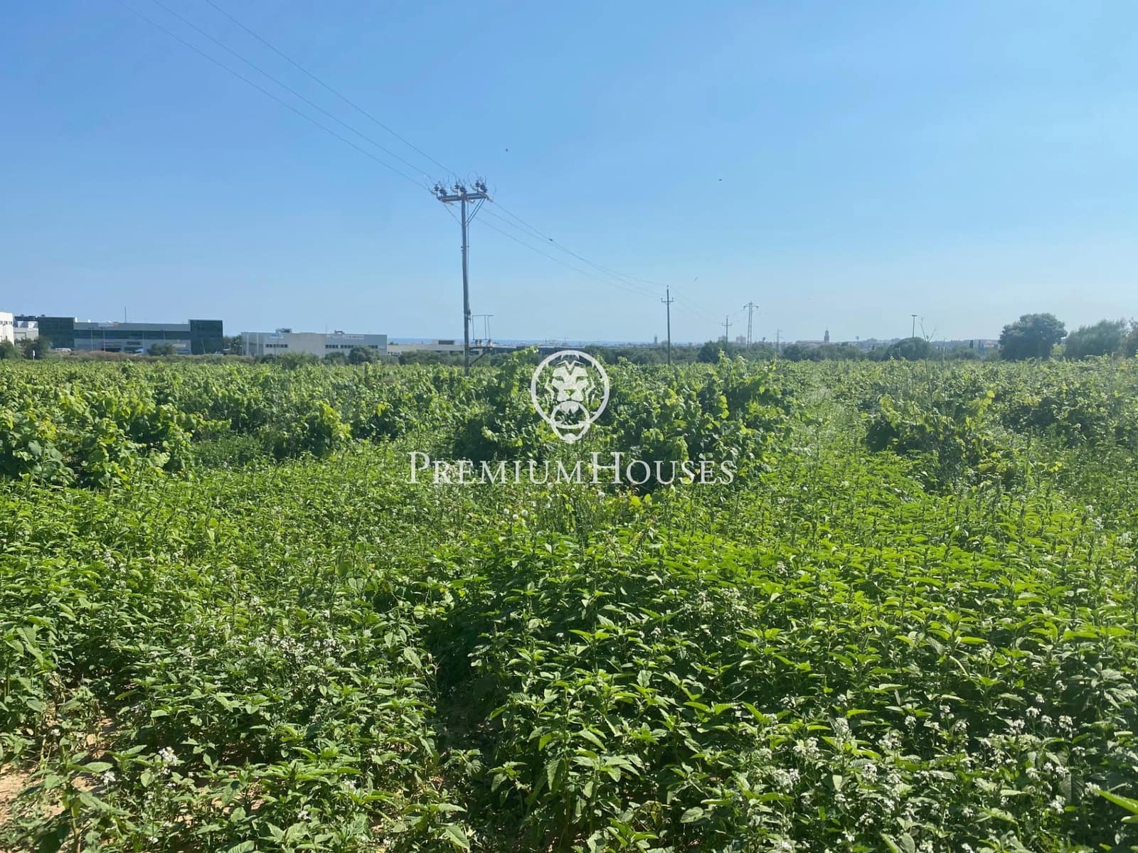 Finca/Landhuis te koop in Vilanova i la Geltru - € 1.800.000 (Ref: 7164978)