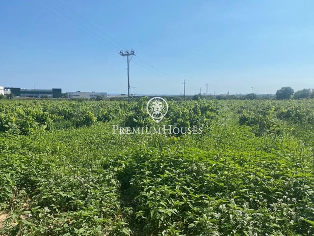 Finca/Country House for sale in Vilanova i la Geltrú - € 1,800,000 (Ref: 7164978)