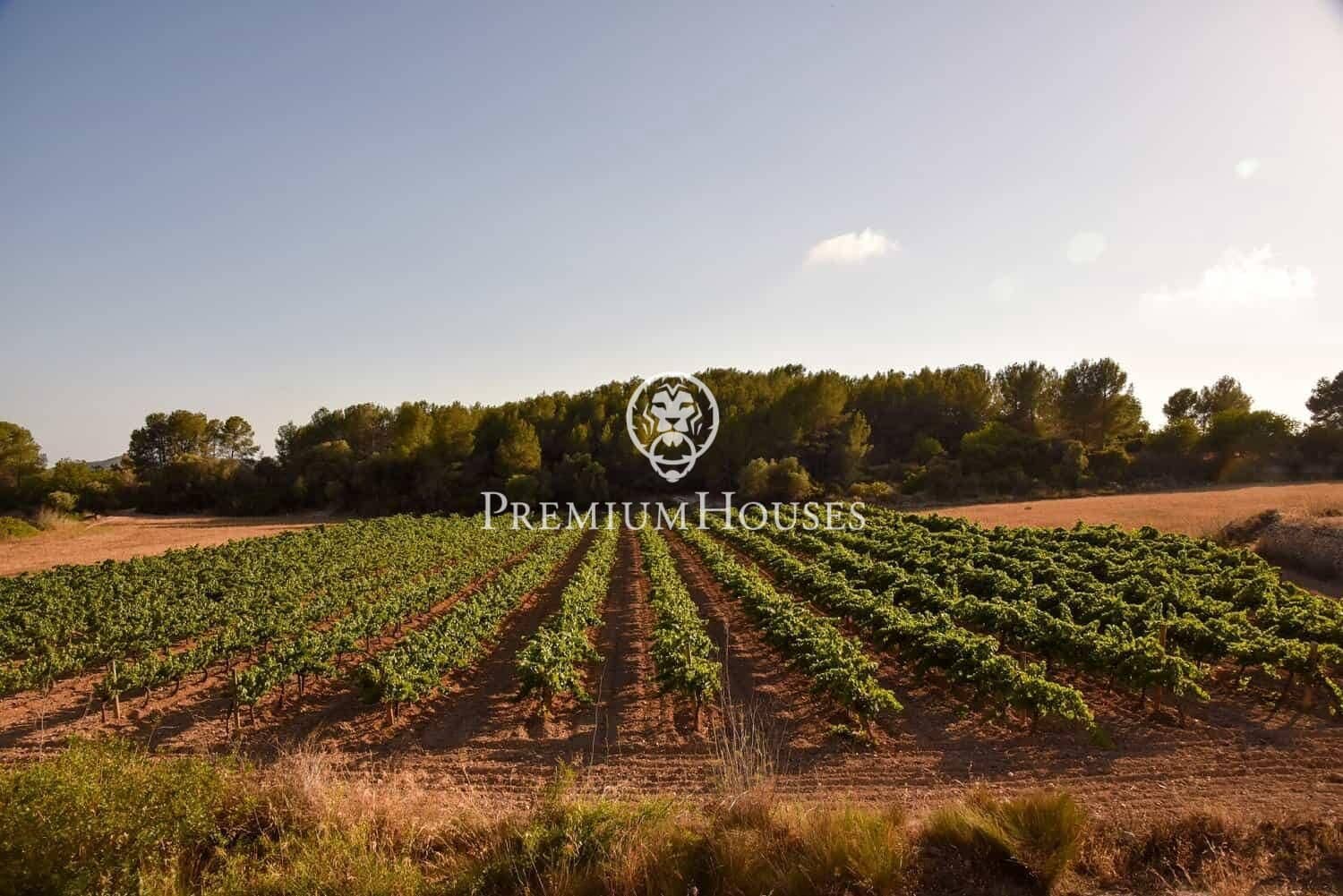 Byggegrund til salg i Sant Pere de Ribes - € 56.000 (Ref: 7895947)