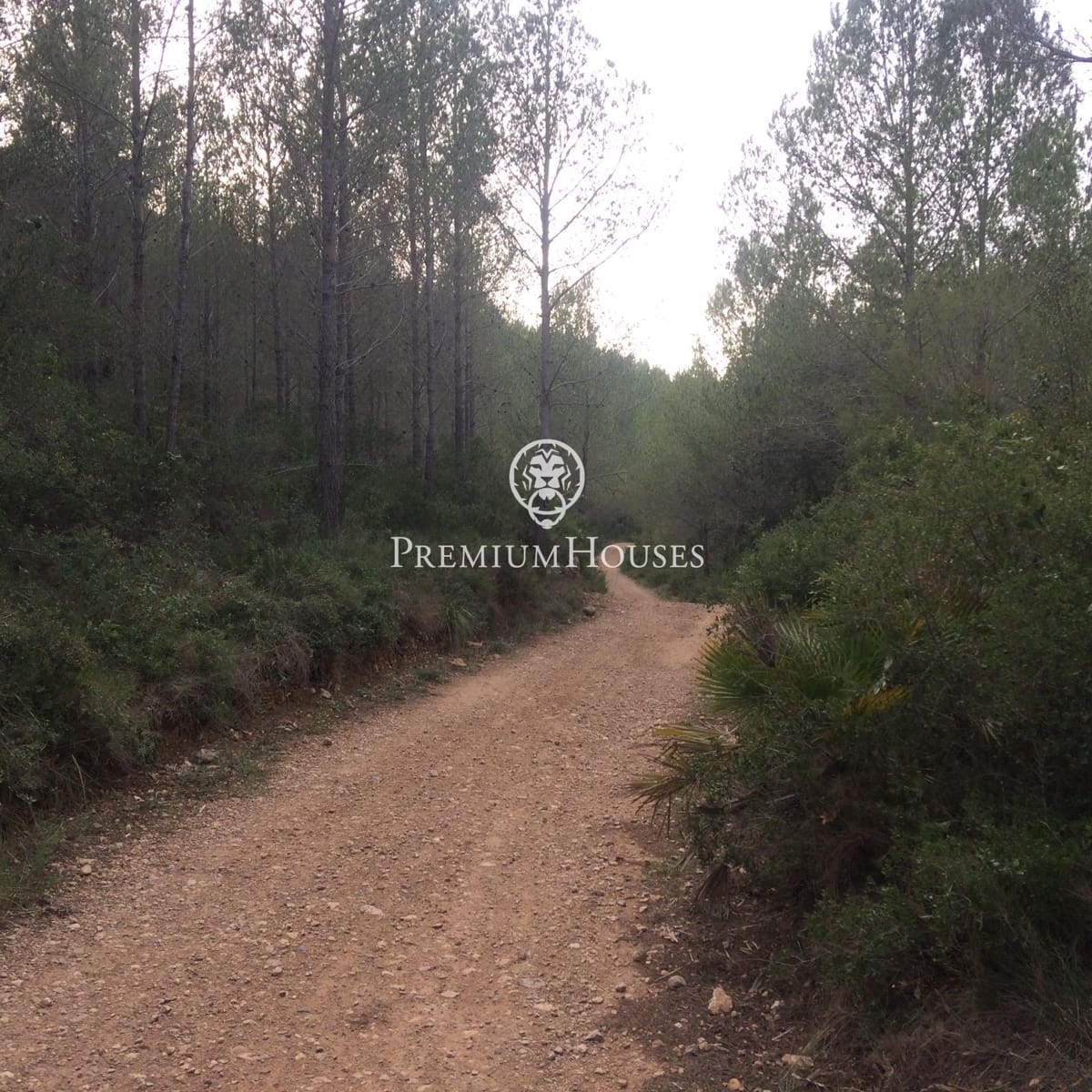 Finca/Landehus til salg i Castellet i la Gornal med garage - € 2.200.000 (Ref: 8472576)