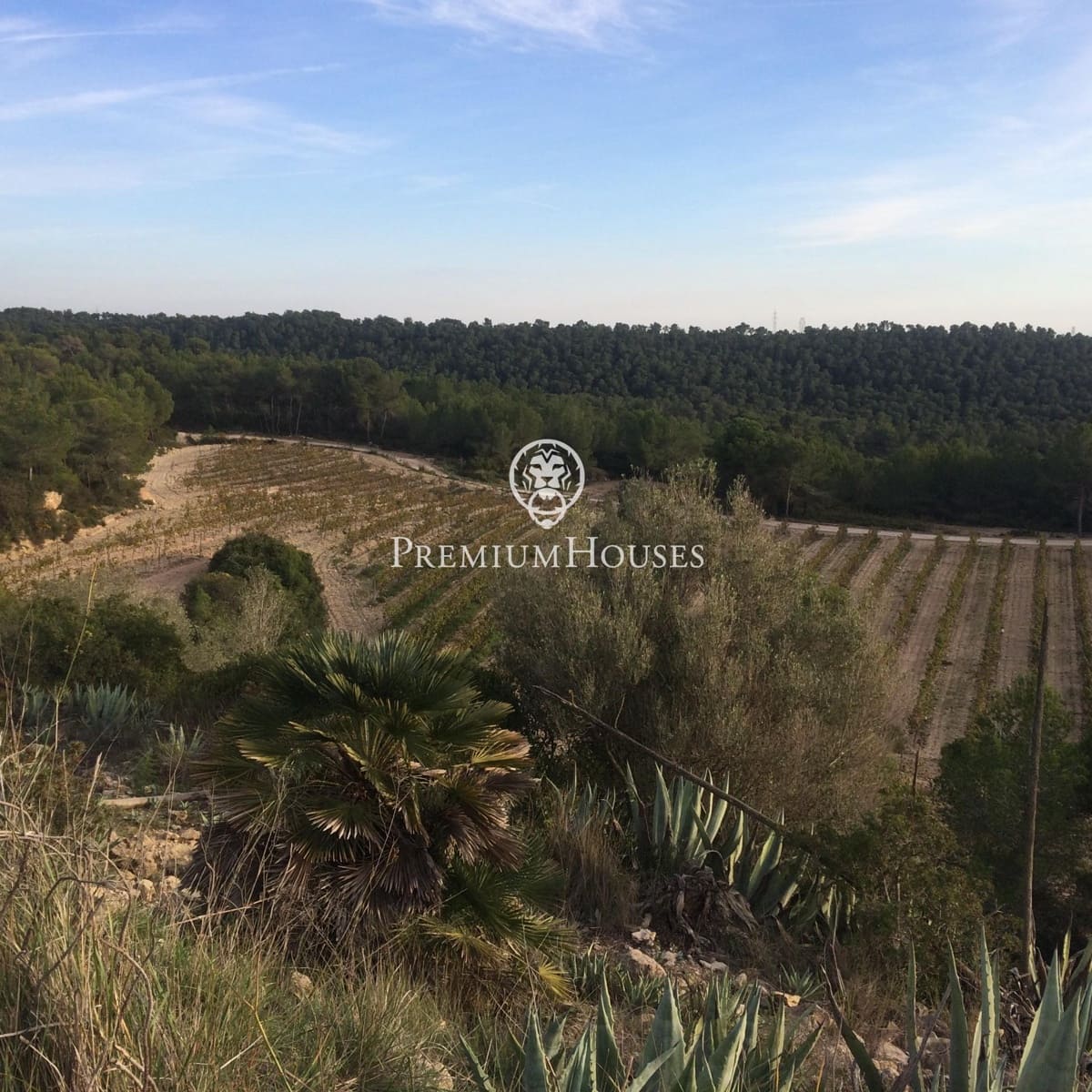 Finca/Landehus til salg i Castellet i la Gornal med garage - € 2.200.000 (Ref: 8472576)