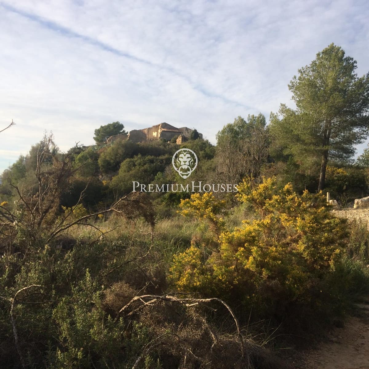 Finca/Landehus til salg i Castellet i la Gornal med garage - € 2.200.000 (Ref: 8472576)