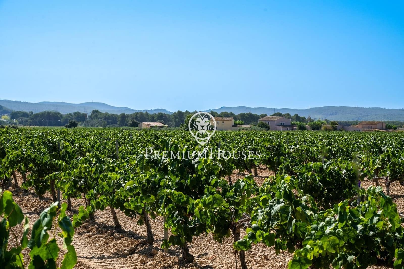 10 slaapkamer Finca/Landhuis te koop in Castellet i la Gornal met garage - € 2.200.000 (Ref: 8472577)