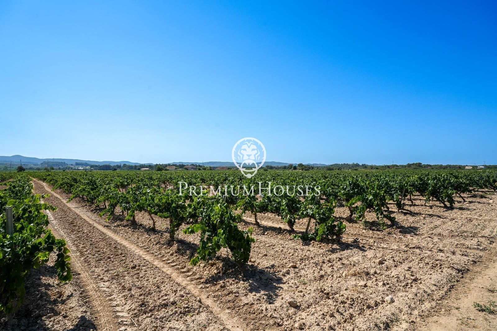 10 slaapkamer Finca/Landhuis te koop in Castellet i la Gornal met garage - € 2.200.000 (Ref: 8472577)