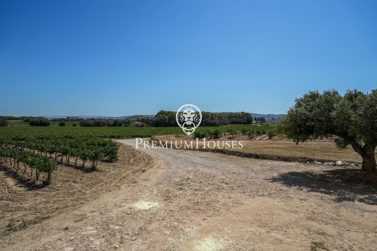 10 slaapkamer Finca/Landhuis te koop in Castellet i la Gornal met garage - € 2.200.000 (Ref: 8472577)