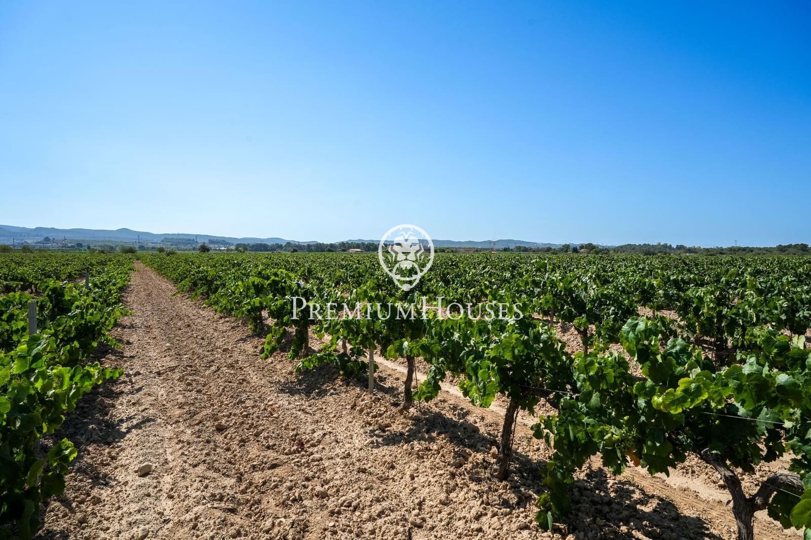 10 slaapkamer Finca/Landhuis te koop in Castellet i la Gornal met garage - € 2.200.000 (Ref: 8472577)