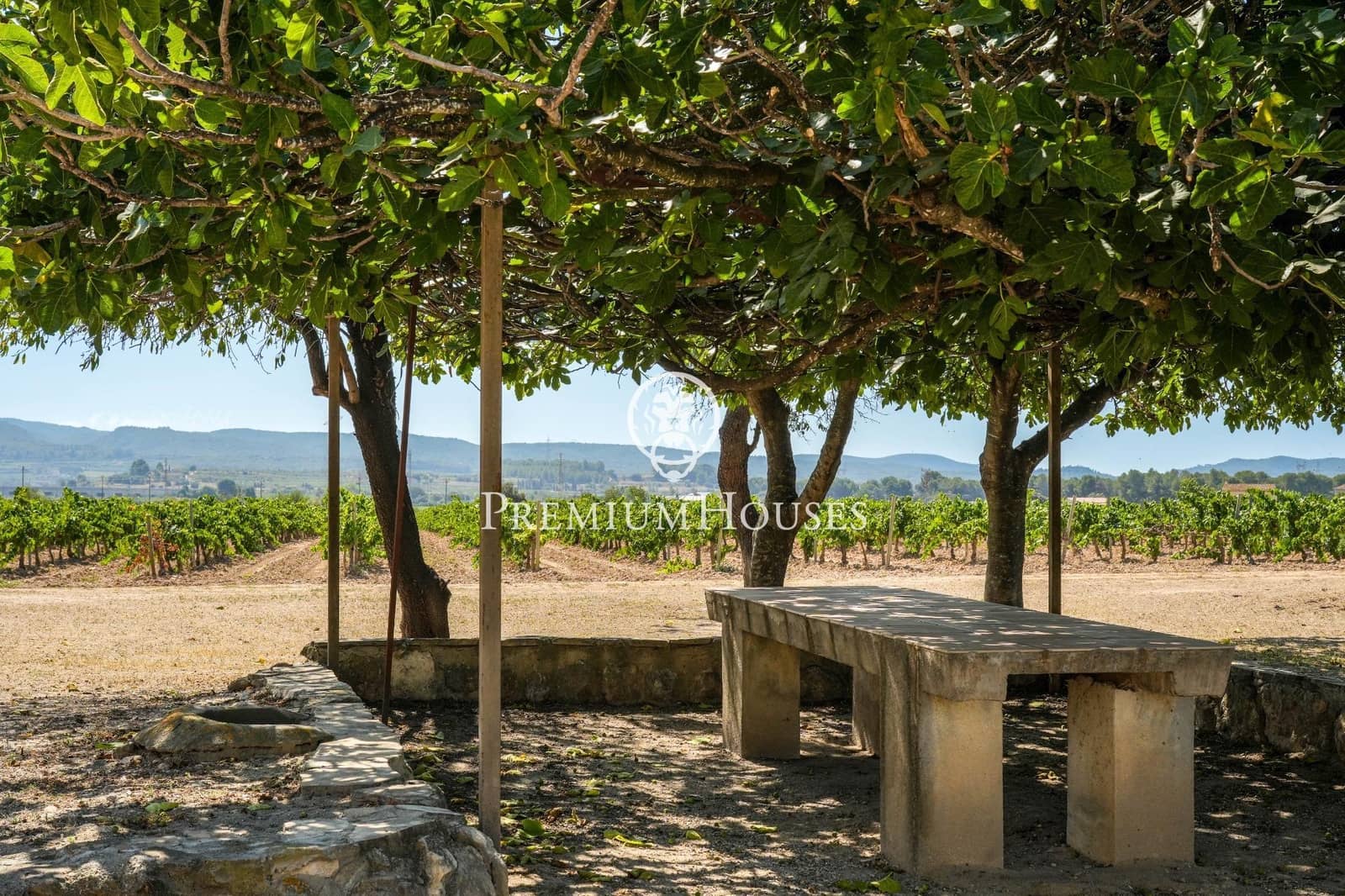 10 slaapkamer Finca/Landhuis te koop in Castellet i la Gornal met garage - € 2.200.000 (Ref: 8472577)