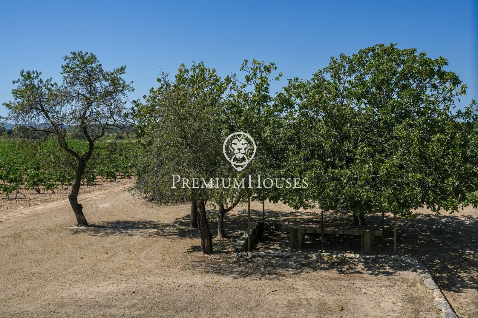 10 slaapkamer Finca/Landhuis te koop in Castellet i la Gornal met garage - € 2.200.000 (Ref: 8472577)