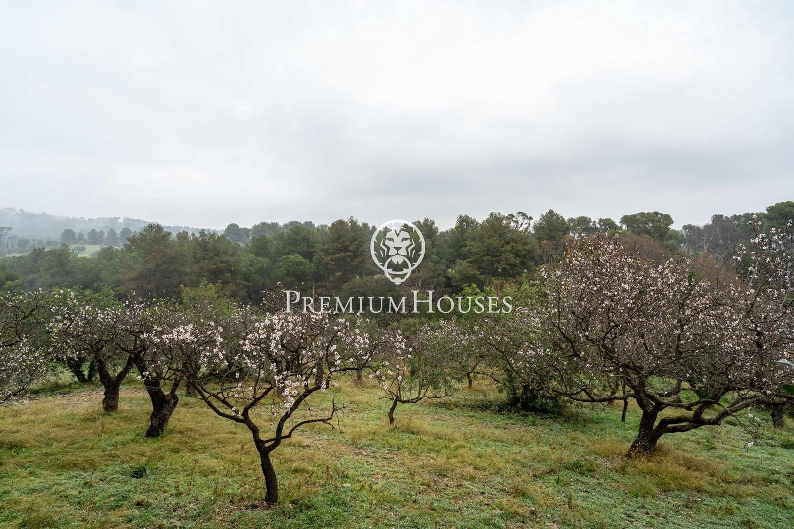 17 soveværelse Finca/Landehus til salg i Valls med garage - € 695.000 (Ref: 8843351)