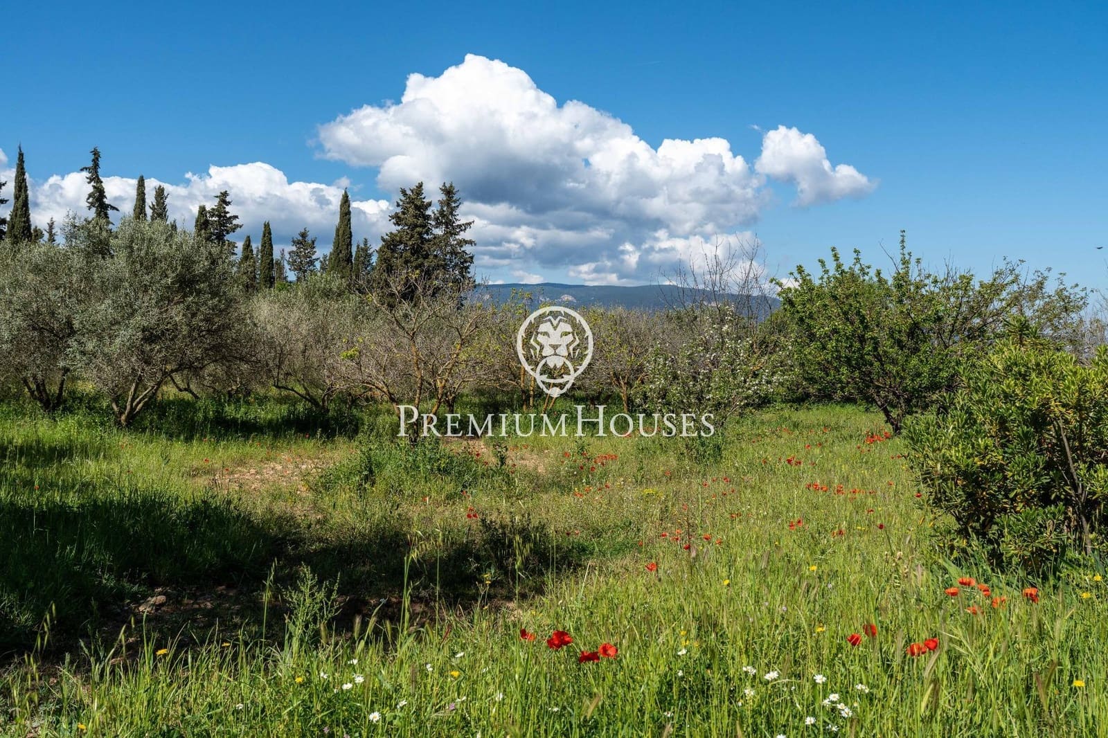 3 soveværelse Finca/Landehus til salg i Montblanc med garage - € 395.000 (Ref: 8972814)