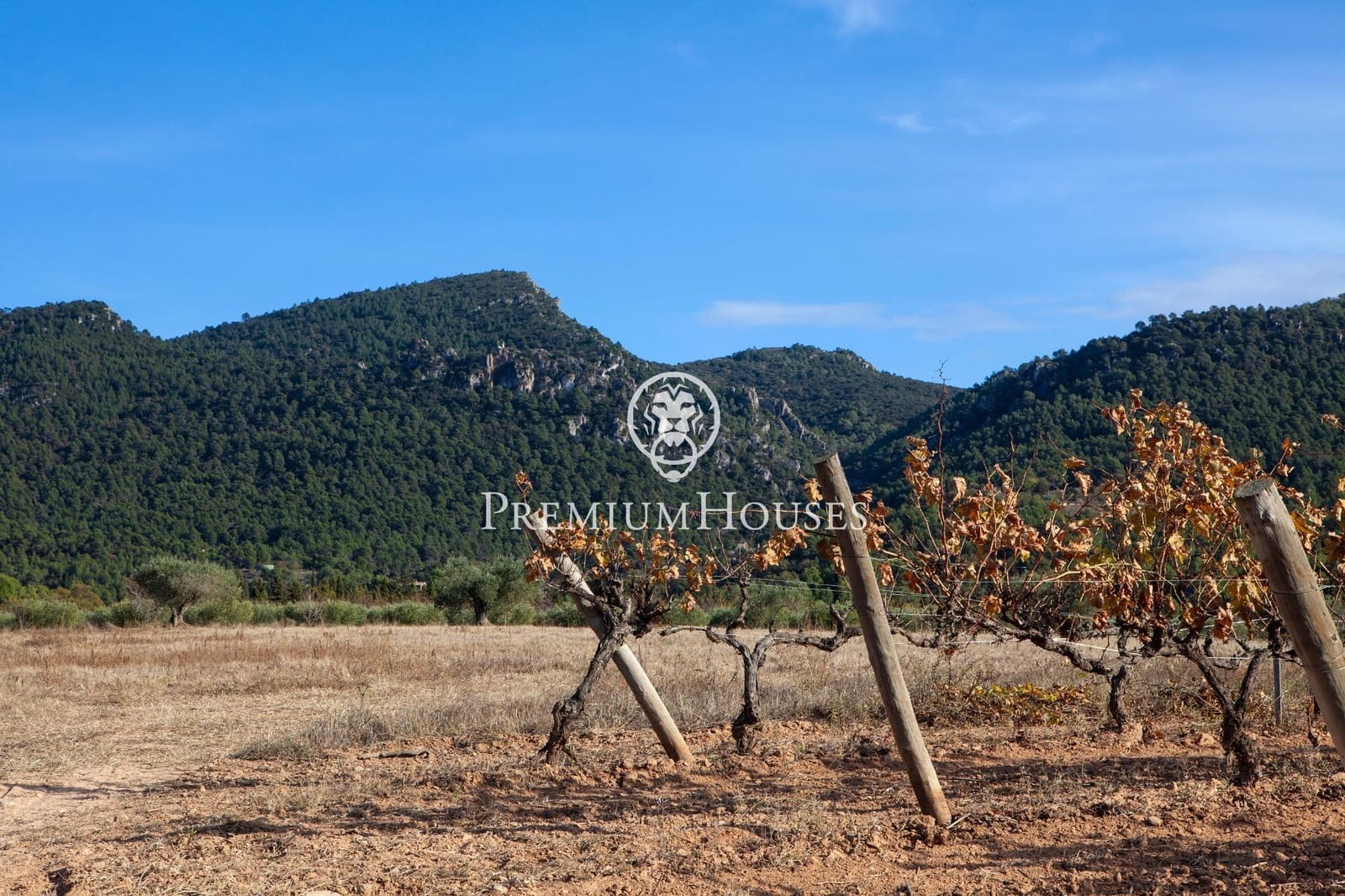 4 soveværelse Byhus til salg i Montblanc med garage - € 575.000 (Ref: 9003419)