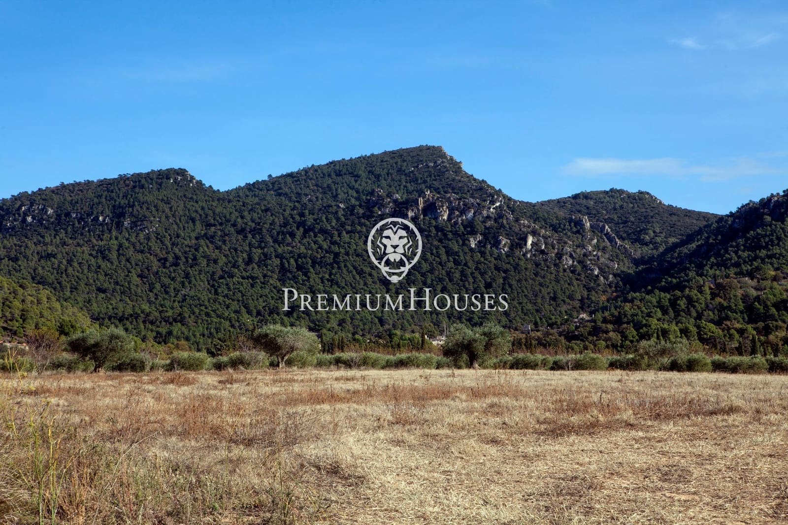 4 Zimmer Haus zu verkaufen in Montblanc mit Garage - 575.000 € (Ref: 9003419)