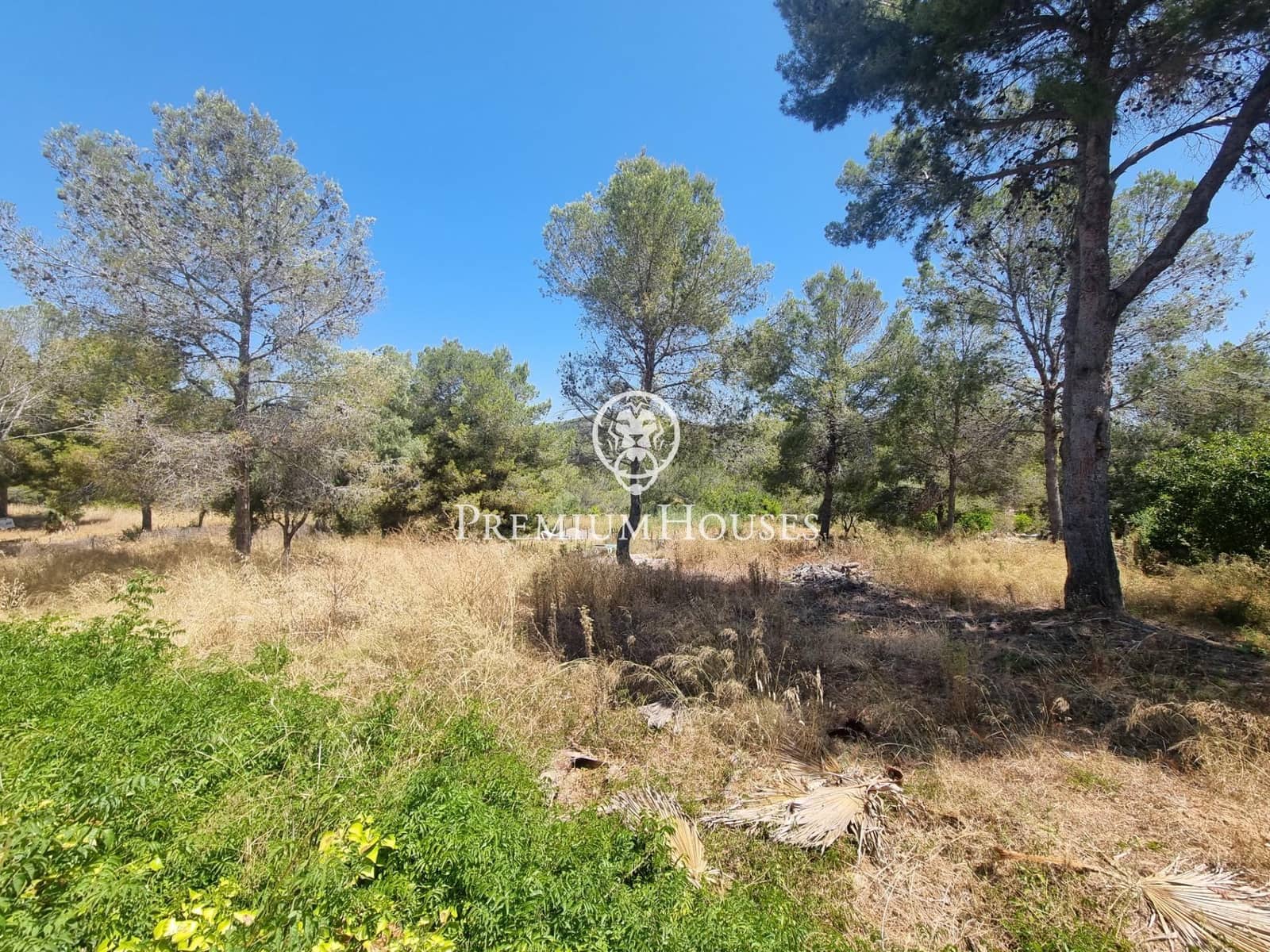 Grunde uden byggetilladelser til salg i Sant Pere de Ribes - € 160.000 (Ref: 9116309)