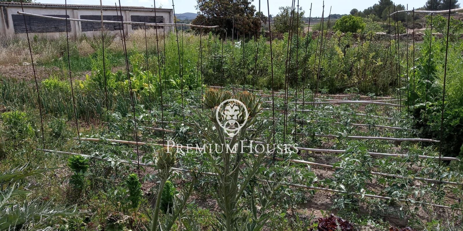 Byggegrund til salg i La Secuita - € 550.000 (Ref: 9154297)