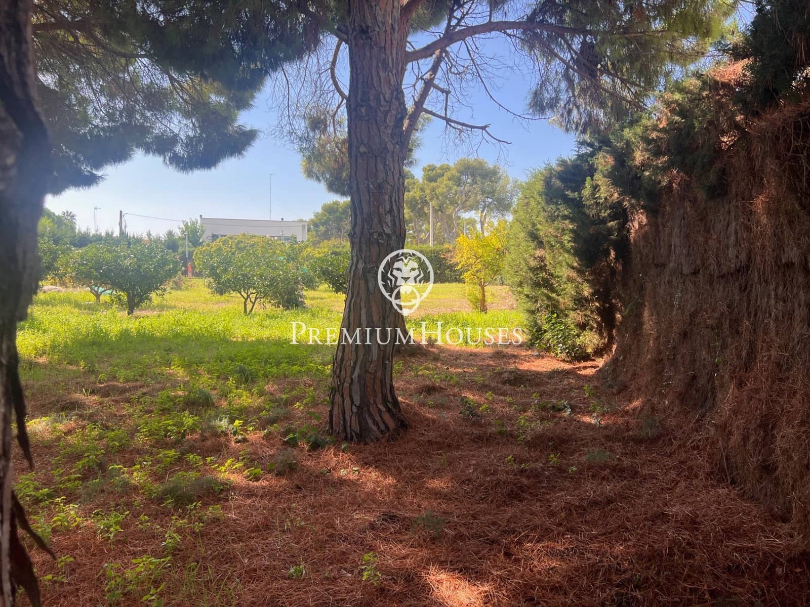 Byggegrund til salg i Sitges - € 3.100.000 (Ref: 9303750)