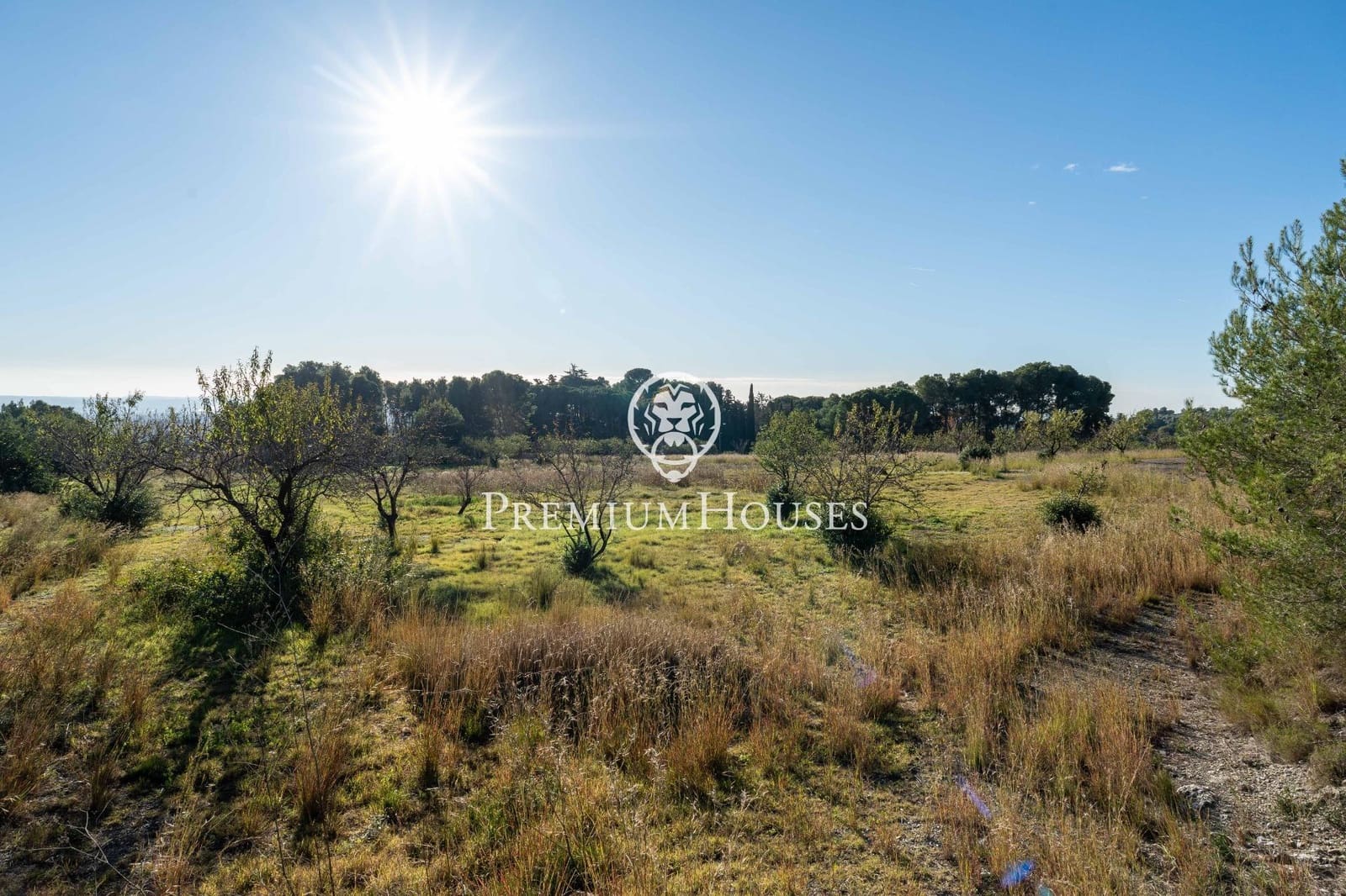 10 sovrum Finca/Hus på landet till salu i La Selva del Camp med garage - 2 000 000 € (Ref: 9465711)