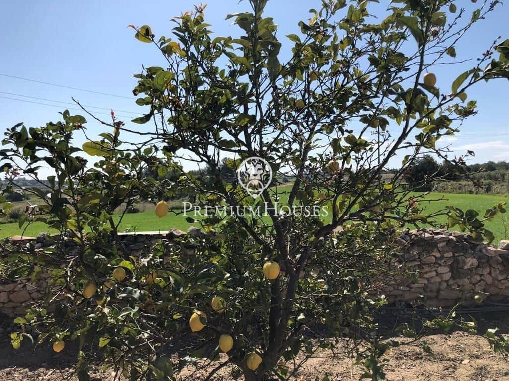 Tontti myytävänä paikassa La Secuita - 330 000 € (Ref: 9652236)