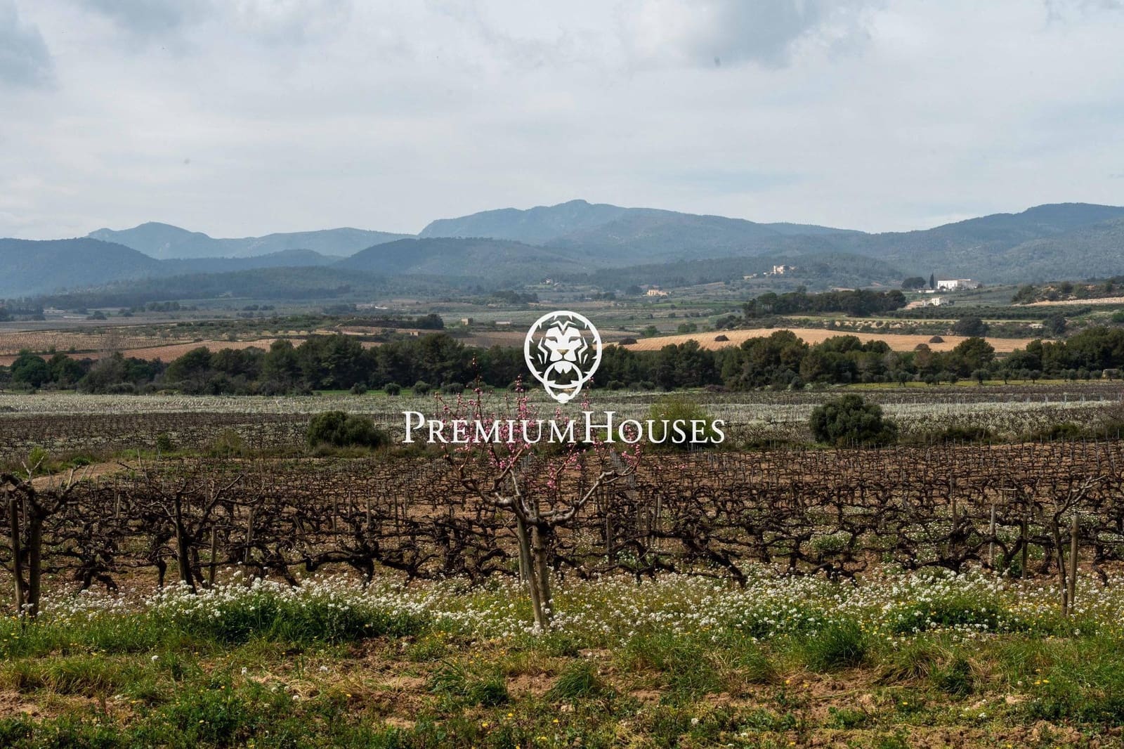 5 bedroom Finca/Country House for sale in Castellet i la Gornal with pool - € 1,400,000 (Ref: 9741910)