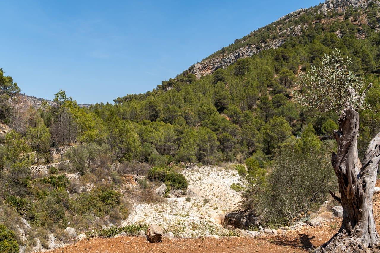 3 sypialnia Finka/Dom wiejski na sprzedaż w Castell de Castells z basenem - 399 000 € (Ref: 7502685)