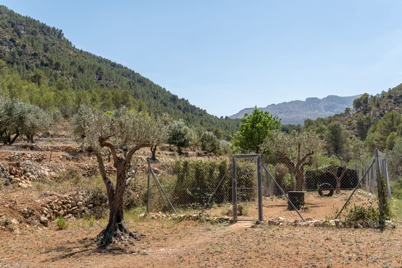 3 sypialnia Finka/Dom wiejski na sprzedaż w Castell de Castells z basenem - 399 000 € (Ref: 7502685)