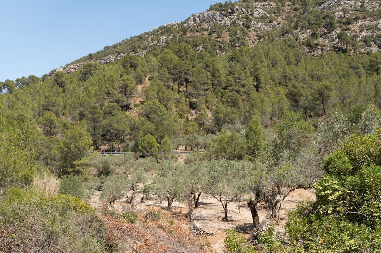 3 sypialnia Finka/Dom wiejski na sprzedaż w Castell de Castells z basenem - 399 000 € (Ref: 7502685)